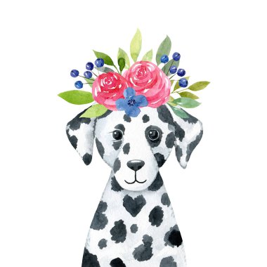 Çiçekli bir köpek, beyaz arka planda izole edilmiş suluboya çizimi. El çizimi dalmaçyalı köpek yavrusu karakteri, ön manzara. Siyah beyaz çocuksu bir portre. Tişört, giysi, poster baskısı