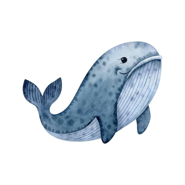 Jolie Illustration Baleine Aquarelle Isolée Sur Fond Blanc Dessin Animé — Photo