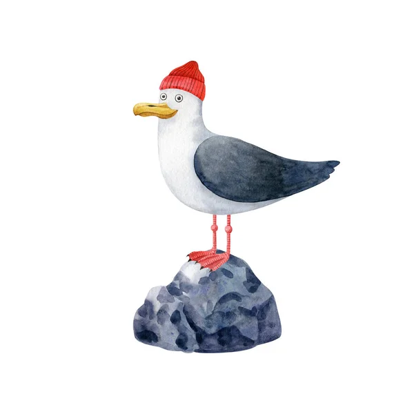 Aranyos Sirály Piros Halászsapkában Kövön Kézzel Rajzolt Állati Karakter Akvarell — Stock Fotó