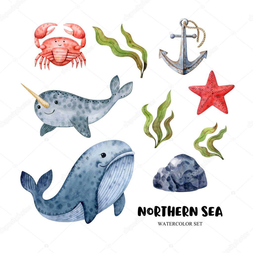 Set with whale, narwhal, crab, seaweeds, starfish and rusty anchor. Watercolor illustration isolated on white background. Hand drawn clipart for clothes, stickers, baby shower, cards, prints, fabrics.