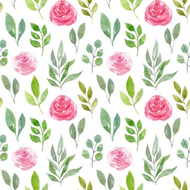Yeşil yapraklı, dikişsiz suluboya desen ve beyaz arka planda izole edilmiş pembe güller. El çizimi illüstrasyon.