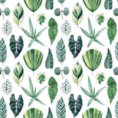 Tropikal yapraklar licuala graniti, tradescantia, begonya, alocasia ve kalathea ile sulu boya desenli. Kumaşlar için egzotik yaprak dokusu, ambalaj kağıdı, duvar kağıtları, dijital kağıt.