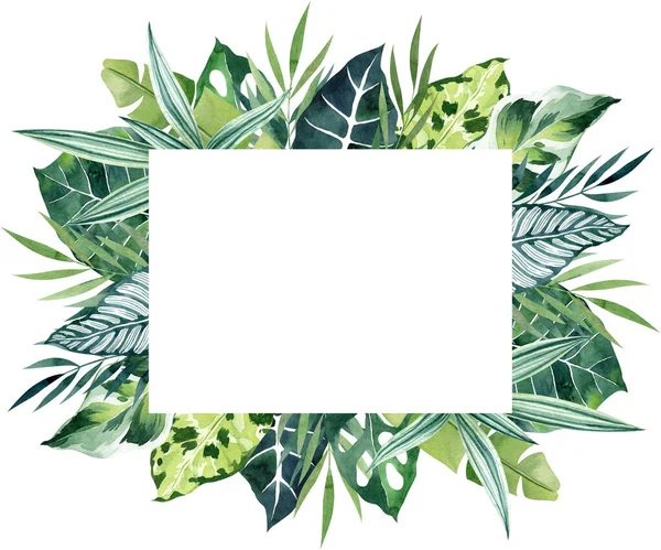 Tropische Bladeren Aquarel Rechthoekig Buitenframe Met Kopieerruimte Internationale Papieren Grens — Stockfoto