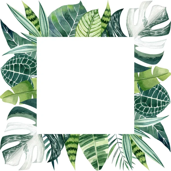 Tropische Bladeren Aquarel Vierkante Frame Met Kopieerruimte Trendy Buitengrens Voor — Stockfoto