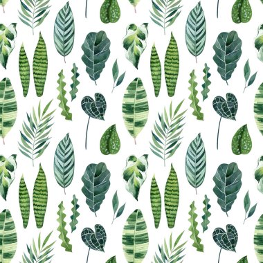 Watercolor seamless pattern with tropical leaves on white background. Botanical illustration. Exotic foliage texture for fabrics, wrapping paper, wallpapers, digital paper. clipart