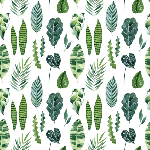 Watercolor Seamless Pattern Tropical Leaves White Background Botanical Illustration Exotic — Stock Photo, Image