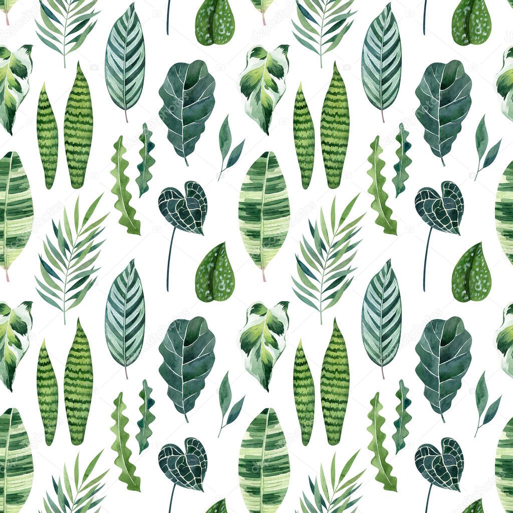 Watercolor seamless pattern with tropical leaves on white background. Botanical illustration. Exotic foliage texture for fabrics, wrapping paper, wallpapers, digital paper.