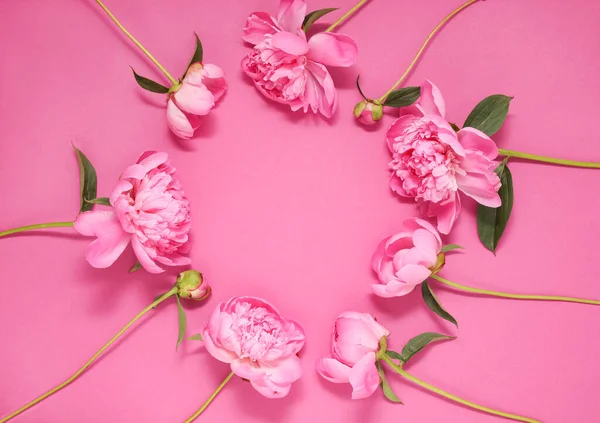 group of pink peonies on a pink background