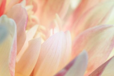 Paskalya içeren bulanık arkaplan