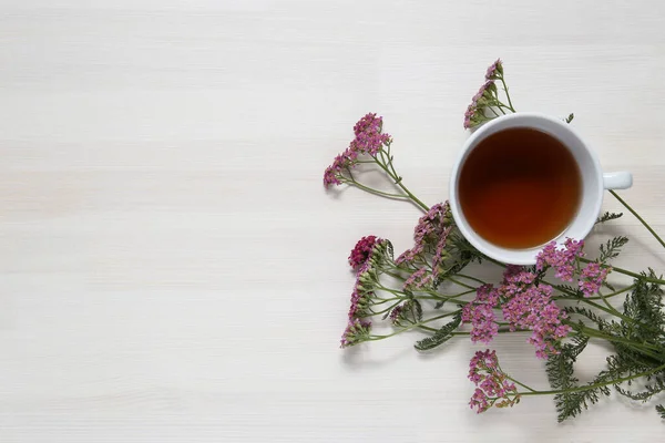 Csésze Gyógynövény Tea Háttér — Stock Fotó