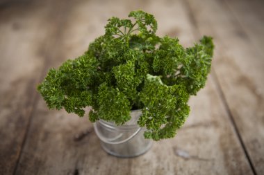 Tahta arka planda taze maydanoz