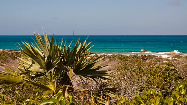 Ocean View — Stock Photo, Image