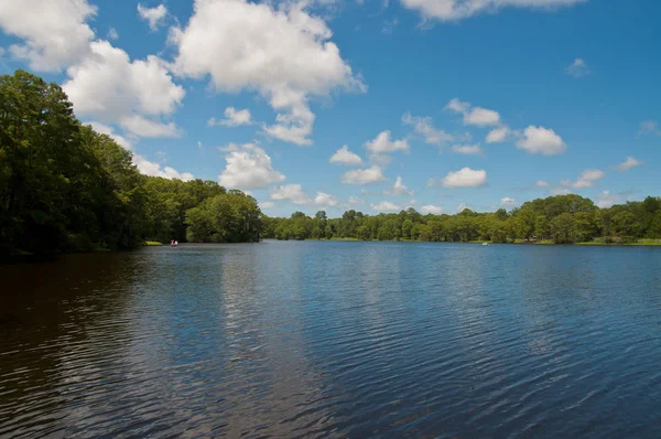 See auf der grünen Wiese — Stockfoto