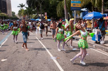 Thousands of revellers on Rio's largest carnival