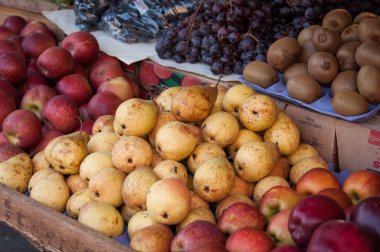 çeşitli taze meyve