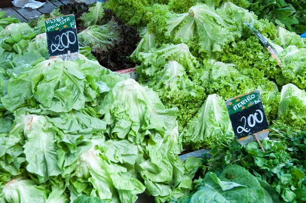 stock image Various Salads for Sale