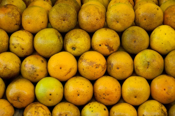 Filas de naranjas frescas —  Fotos de Stock