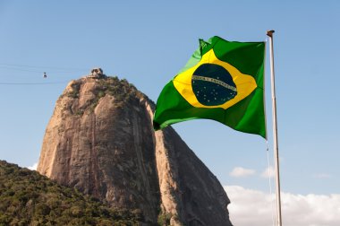 Brezilya bayrağı sallayarak  
