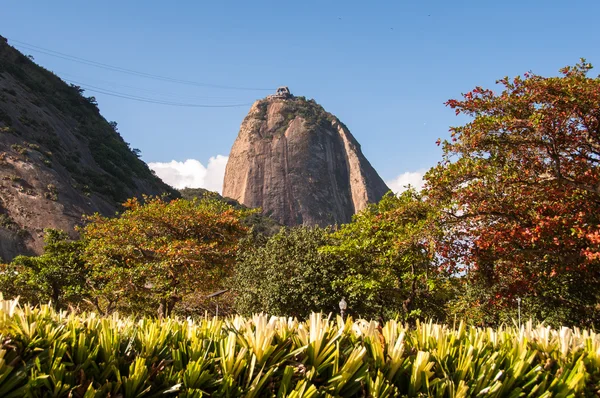 Pão de Açúcar Montanha e Árvores coloridas — Fotografia de Stock