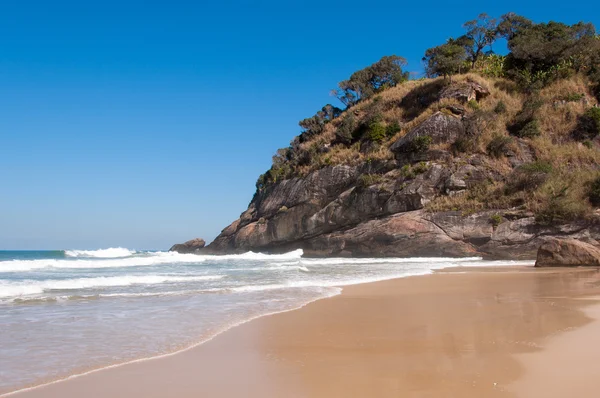 Тропический бразильский пляж — стоковое фото