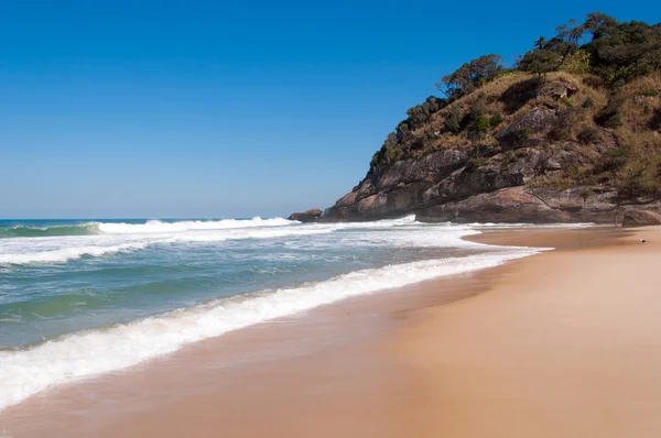 Тропический бразильский пляж — стоковое фото