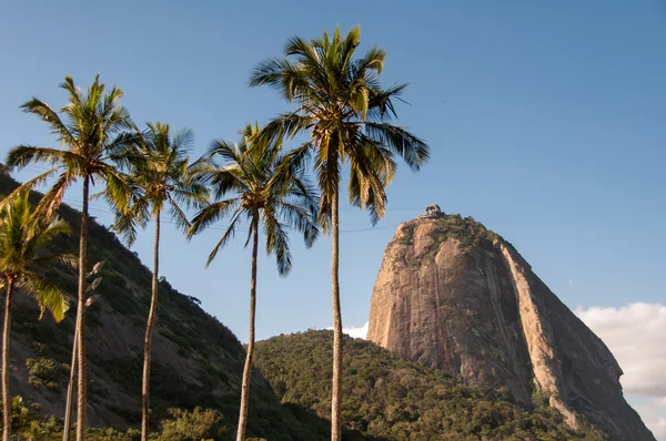 Гора Цукрова Голова з пальмами — стокове фото