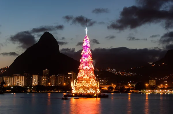 Красочная елка в Бразилии — стоковое фото