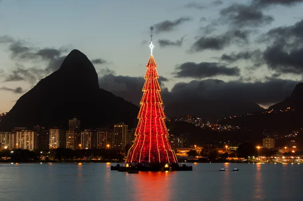 Красочная елка в Бразилии — стоковое фото