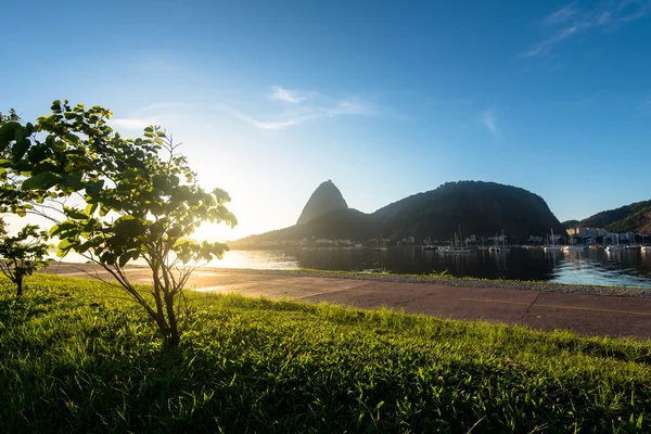 Sugarloaf Mountain od Sunrise — Stock fotografie