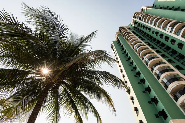 Rio de Janeiro Apartmanı