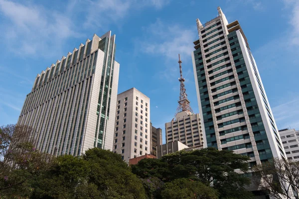 Paulista Avenue in Sao Paolo — Stockfoto