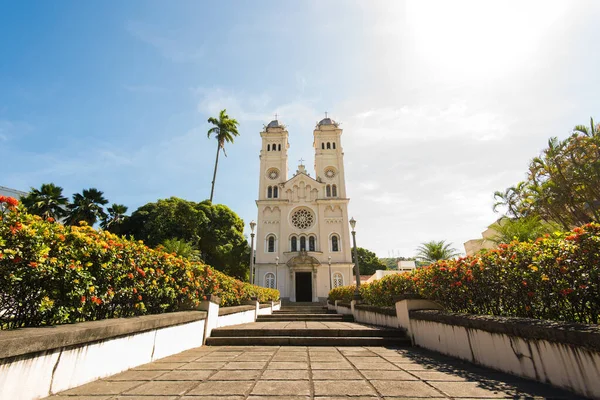 San Pedro Príncipe Los Apóstoles Iglesia Católica Río Janeiro Brasil — Foto de Stock