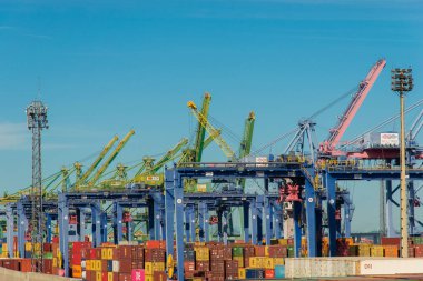 Rio de Janeiro, Brezilya - 27 Ocak 2021: Rio de Janeiro limanındaki rıhtım vinçleri.