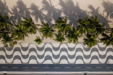 Brezilya 'nın Rio de Janeiro plajında Copacabana Mozaik Kaldırımı ve Palmiye Ağaçları