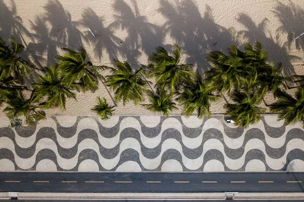 Brezilya 'nın Rio de Janeiro plajında Copacabana Mozaik Kaldırımı ve Palmiye Ağaçları