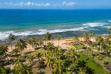 Kuzeydoğu Brezilya 'da Lauro de Freitas' ın tropikal kıyıları. Palmiye ağaçları ve mercan resifleri suyun altında, Horizon 'da okyanus var.