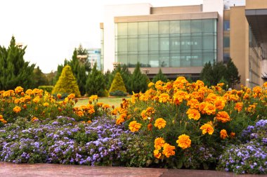 Litvanya dili Parlamento binaları