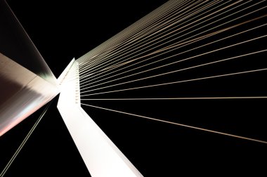 Ünlü Erasmus Köprüsü'nün gece görünümü