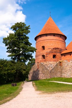 Ortaçağ Trakai Kalesi
