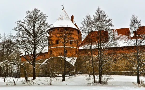 Hermoso castillo de Trakai — Foto de Stock