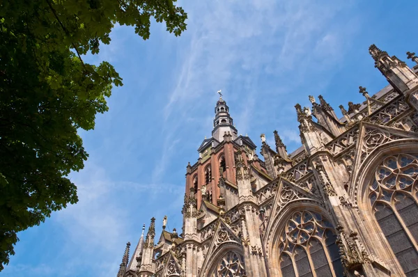 아름 다운 고딕 양식의 대성당 — 스톡 사진