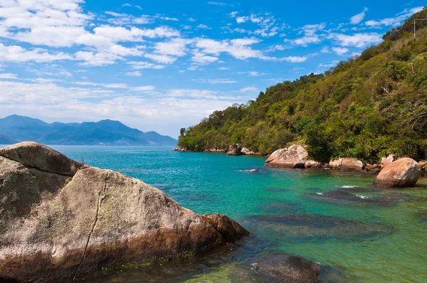 Lungomare roccioso con collina boscosa — Foto Stock