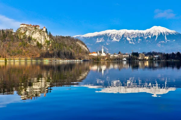 Piękny widok na jezioro Bled — Zdjęcie stockowe
