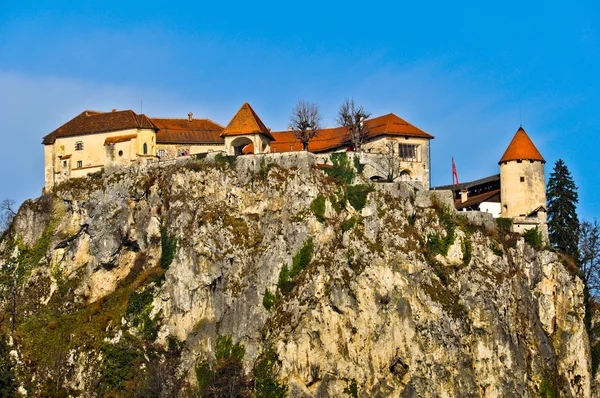 Castillo de Bled construido en la cima de un acantilado — Foto de Stock