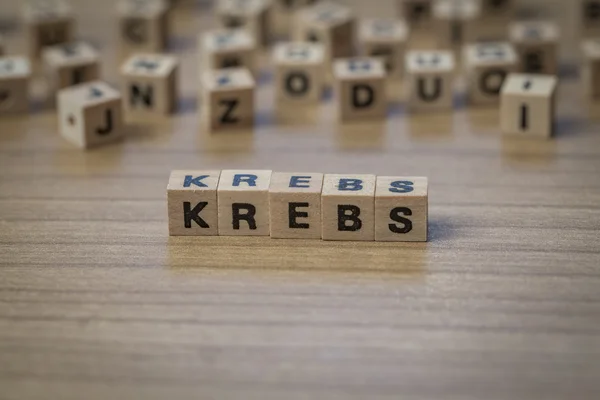 Krebs written in wooden cubes — Stock Photo, Image