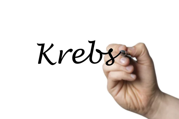 Krebs written by a hand — Stock Photo, Image