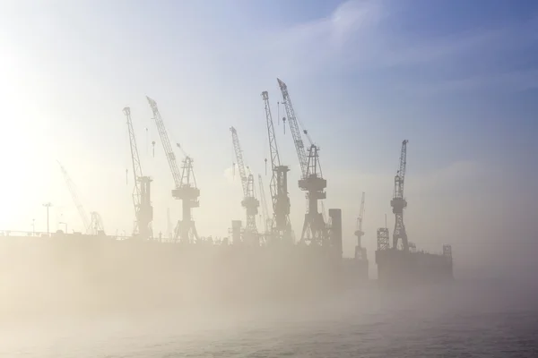 Silhouette of cranes in fog — Stock Photo, Image