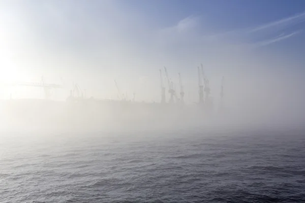 Silhouette of cranes in fog — Stock Photo, Image