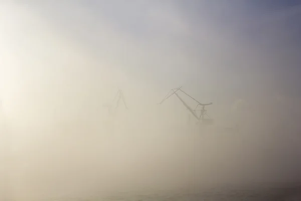 Two Cranes in Fog — Stock Photo, Image