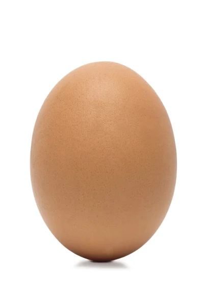Brown egg on white background — Stock Photo, Image